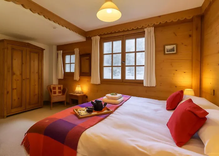 D'henri 67 - Happy Chamonix